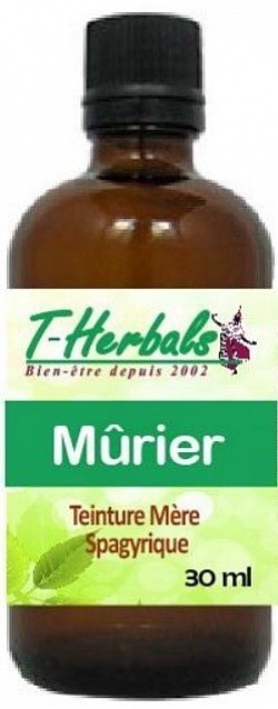 Teinture mère spagyrique 30 ml de feuilles de mûrier Bio