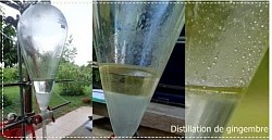 Distillation de gingembre