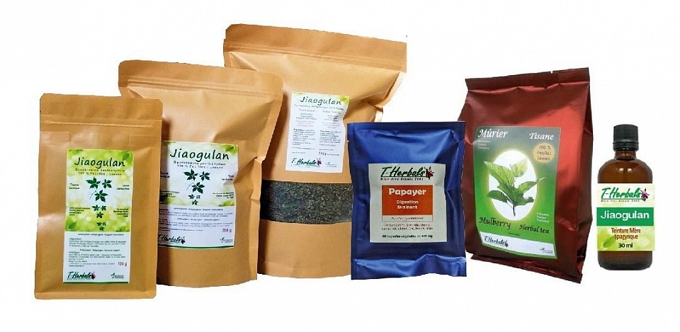 Notre gamme de Produits T-Herbals Jiaogulan, mûrier, papayer